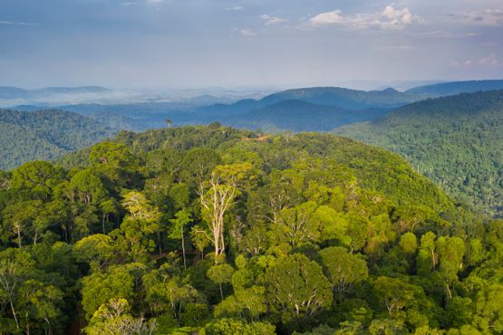 O impacto socioambiental dos 15 anos do Fundo Vale