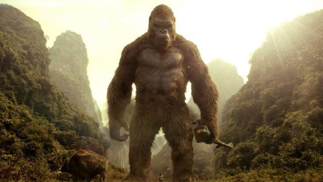 King D’Or Kong