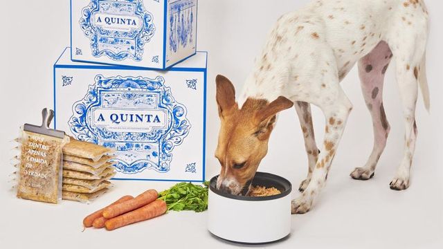 Petland compra site de conteúdo vet e investe em comida natural (pra cachorro)