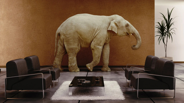 Para o Citi, o estoque alto é o elefante na sala