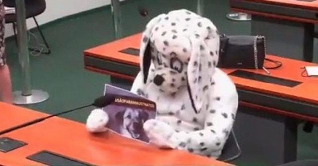 Vida animal: no Congresso, um 'dálmata' rouba a cena