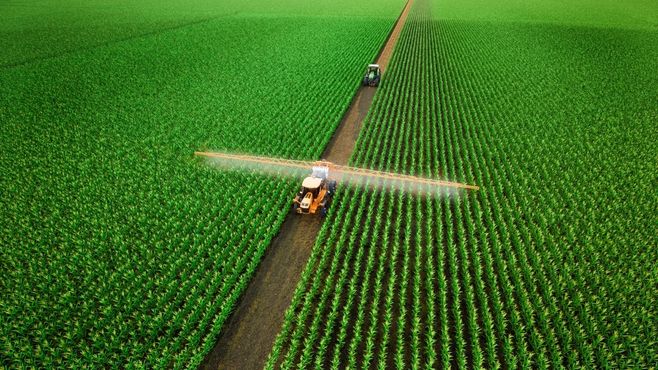 Fertilizantes em alta, Selic no teto: por que as margens da soja e do milho vão piorar