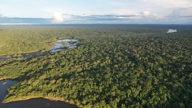 Brasil: uma potência em produção de crédito de carbono