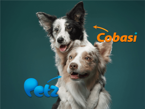 Por que a Petz e a Cobasi deveriam se fundir