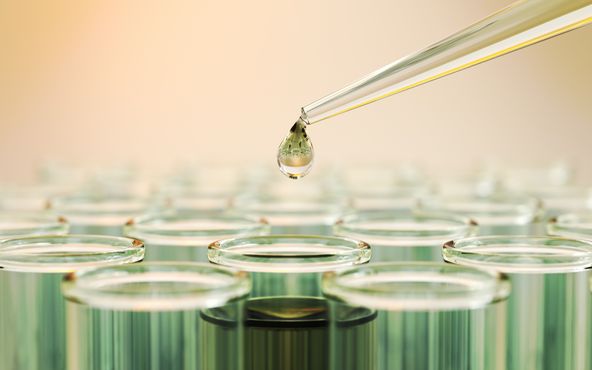 Fundo de impacto compra a Genetica, biotech de Chapecó