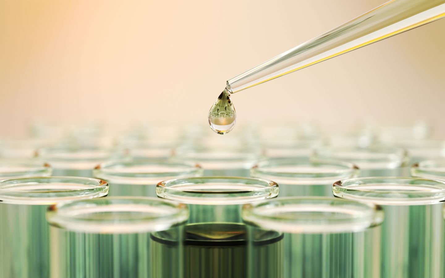 Fundo de impacto compra a Genetica, biotech de Chapecó