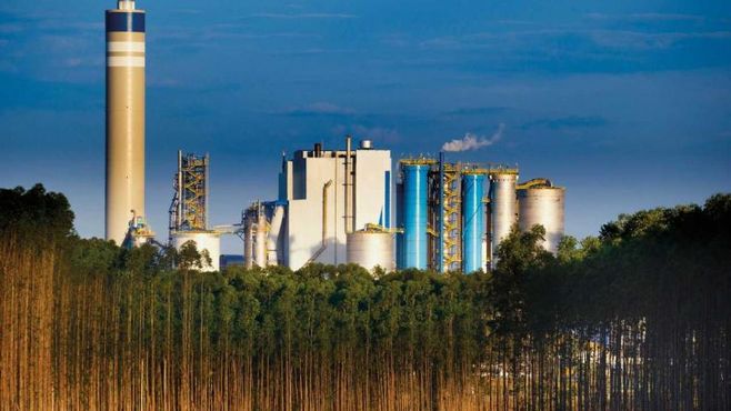 Suzano busca US$ 500m-1 bi em bond sustentável