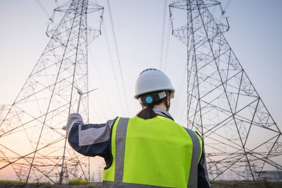 No operador do sistema elétrico, um amigo de Dilma e um irmão do TCU